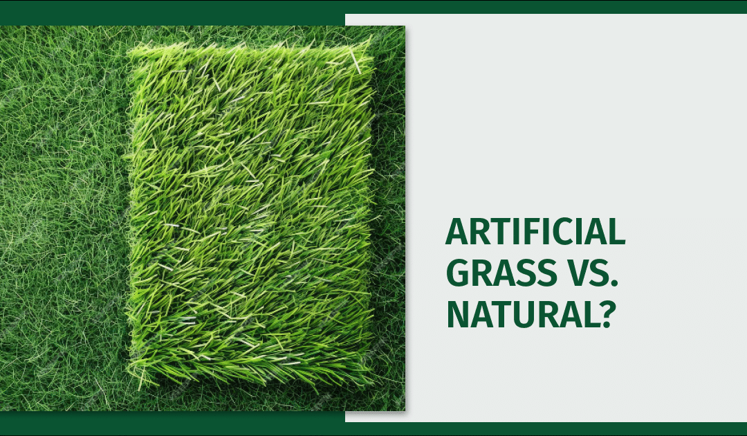 Artificial Grass vs. Natural: Which Is Best for Your Glendale Lawn?