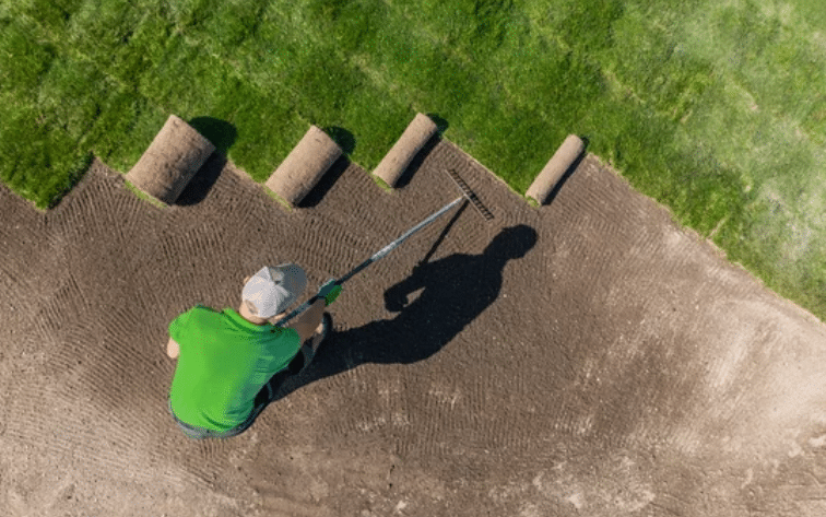 sod installation