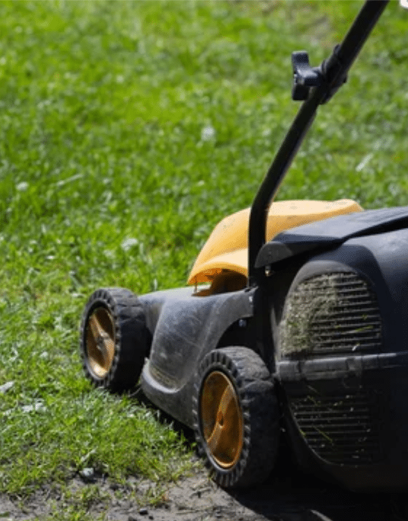 trimming grass