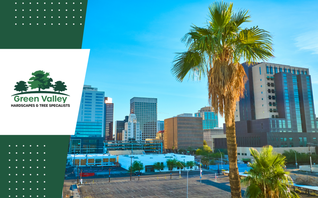 Tree Trimming Services in Glendale & North Valley, AZ (Cave Creek, North Phoenix & Deer Valley Ranch)