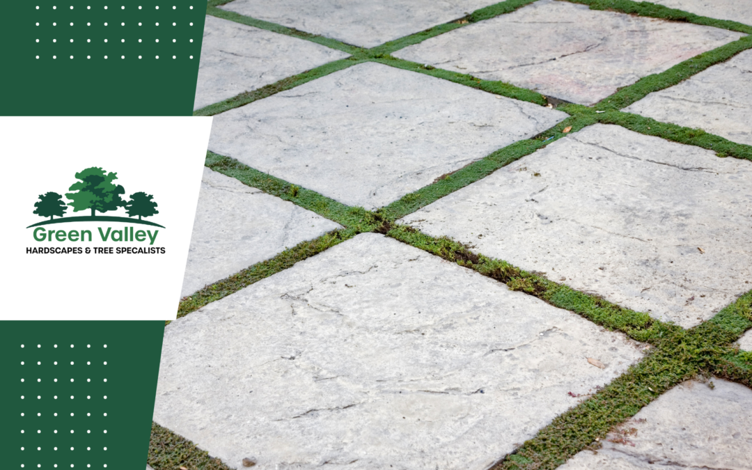 Hardscape Design: Transforming Your Outdoor Space in Glendale, AZ